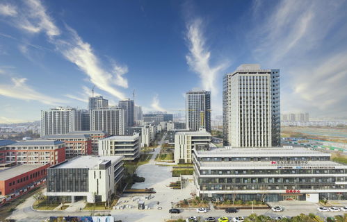 合肥廬陽區 全力以赴抓項目謀新篇，力促園區資產投資與管理穩中求進