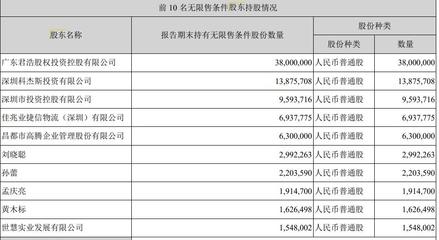 深投控棄權(quán)融資議案，深天地A上半年虧損，園區(qū)資產(chǎn)投資與管理面臨挑戰(zhàn)